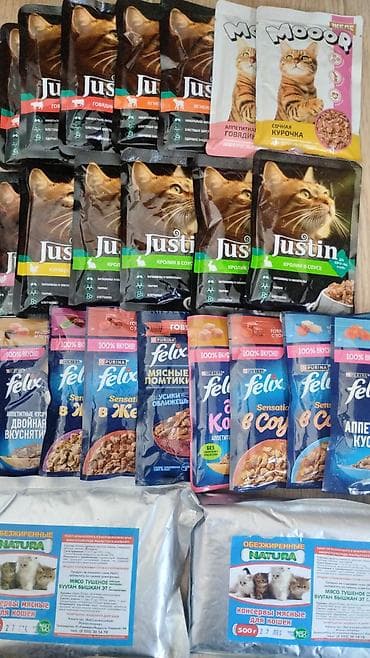 брама курицы: Сухие и влажные корма для кошек и для котят. *Сухой корм Мемекат — 2