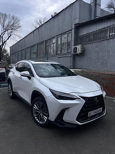 Lexus NX: 2022 г., 2.5 л, Вариатор, Гибрид, Кроссовер