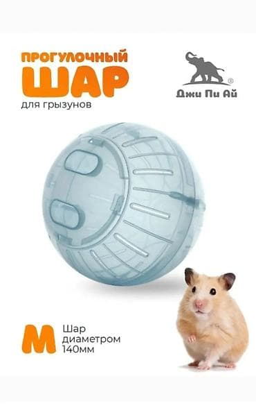 ищу кошку: Домик1600,ПоилкаЧашка350 лоток 250 расчёска, когтерезка300, поилка и — 9