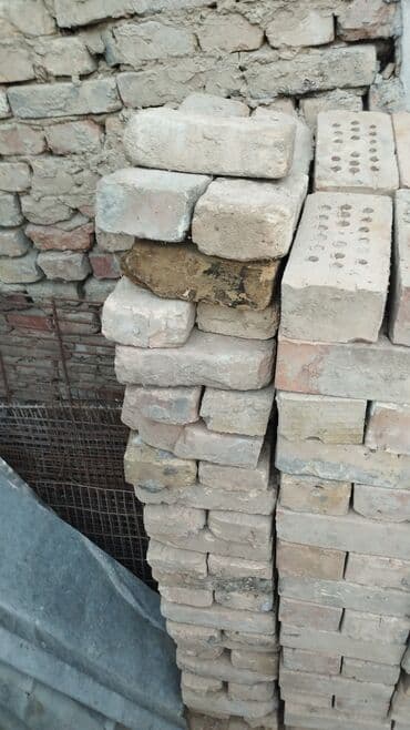 туя купить бишкек: Кирпичи — 3
