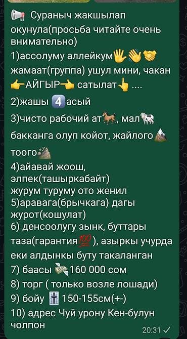 анти лай: Продаю | Жеребец | Рабочий — 5