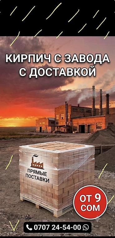 Ремонт и строительство: Пустотелый, дырчатый, Жженый кирпич, Полублок, 250×120×90 — 2