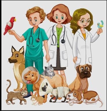 дрисировка собак: Ветеринар на выезд Любые сложности Вакцинация Эвтаназия Кастрация — 1