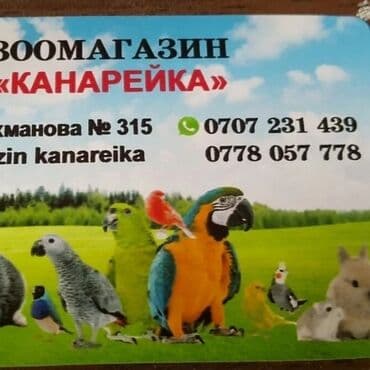 вольер: Вольеры для птиц! — 9