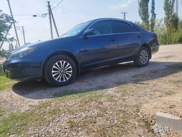 СТО, автобизнес: Ищу работу на своем авто — 2