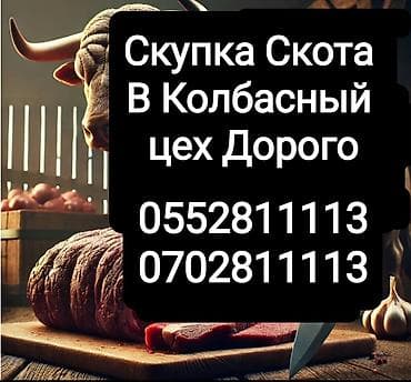 Колбаса цехи, Жеке жак : Уйлар, букалар, Жылкылар, аттар, Башка а/ч жаныбарлары, | Бардык шартта, Союлган, Союуга, этке