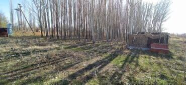 дом в красная речка: 65 соток, Бизнес үчүн, Кызыл китеп — 3