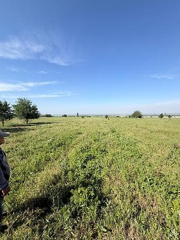 село чокморова: 1 соток, Для сельского хозяйства — 1
