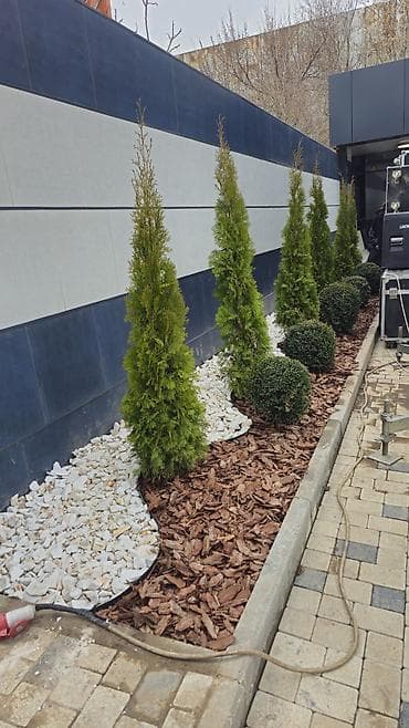 Дизайн, проектирование: Авто полив💦💦 за 1м² 🟫 Жашылдандыруу 🏡 Благоустройство дома 🏕 Система — 10