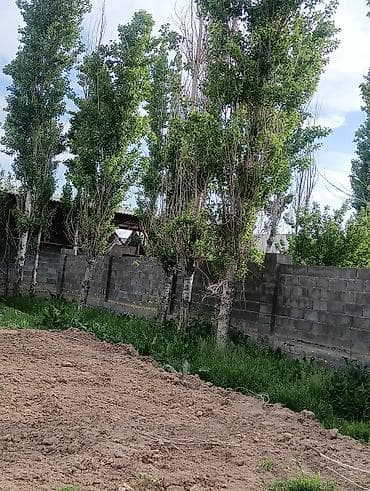 защитная сетка для растений: Саженцы — 2