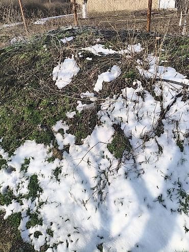 Пикник үчүн товарлар: Отдам даром шлак - Фракция: естественная, без просеивания, с примесью — 1