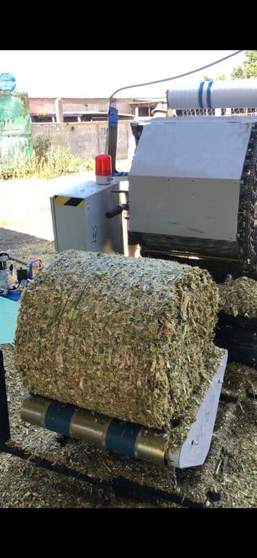 продажа щенков немецкой овчарки в бишкеке с документами: Силос мелкодробленый с кукурузой высшего сорта! Качества — 2