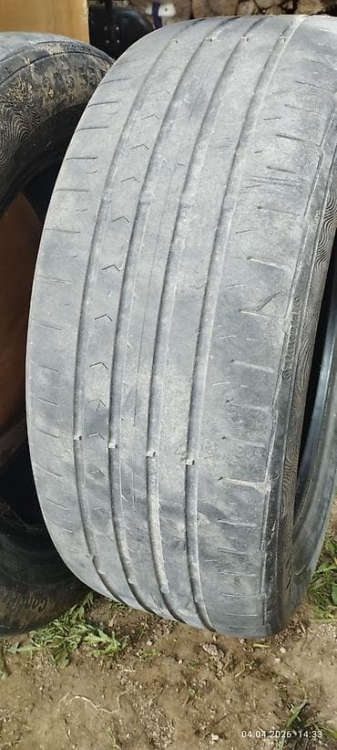 р 16: Шины 205 / 55 / R 16, Лето, Легковые, Continental — 3