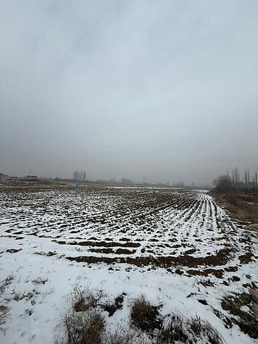 алексеевка участок: 80 соток, Для сельского хозяйства, Красная книга — 10