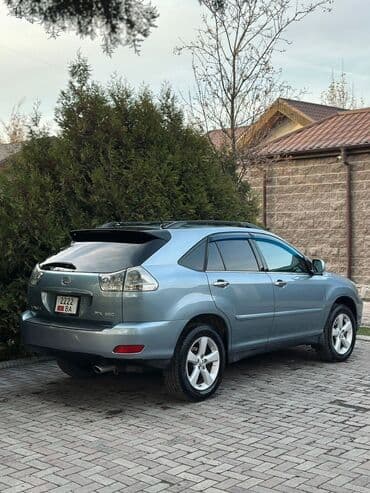 х5 2004: Lexus RX: 2004 г., 3.3 л, Автомат, Бензин, Кроссовер — 6