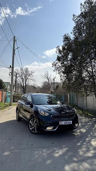 одсей 1: Kia Niro: 2019 г., 1.6 л, Вариатор, Гибрид, Кроссовер — 3