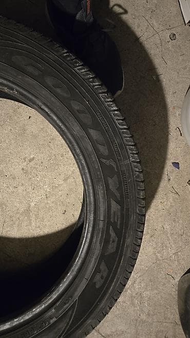 шины 245 55 r19: Шины 245 / 55 / R 19, Всесезонная, Пара, Внедорожные (АТ/МТ), GoodYear — 3