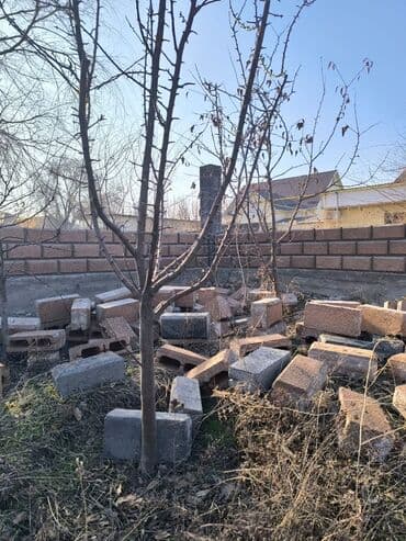 бетон блок: Керамзитобетонные блоки (пустотелые и полнотелые), рыжего и серого — 5