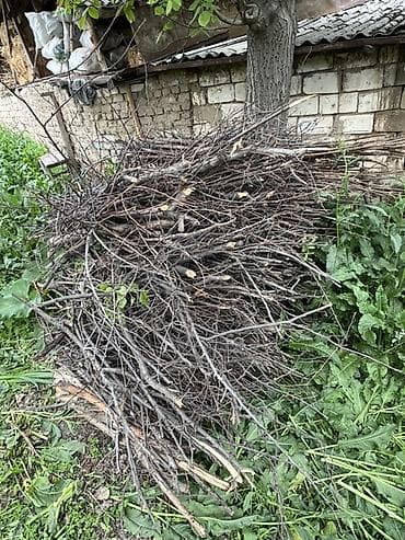 кант уголь: Дрова Самовывоз, Платная доставка — 3