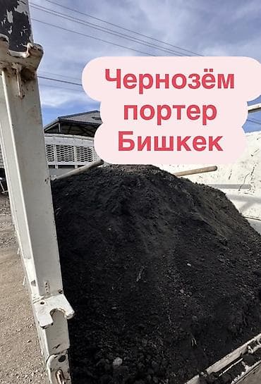газон ош: Портер — 1