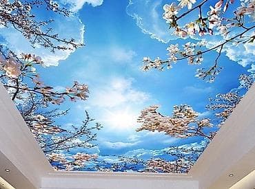 натяжные потолки фото: Натяжной потолок 3D потолки, Глянцевое, Матовое Гарантия, Бесплатная консультация, Бесплатный замер — 1