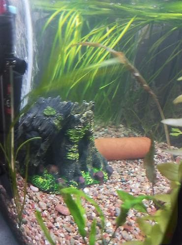 насос для аквариума бишкек: Продам аквариум полный комплект параметры аквариума 51 см длина — 6