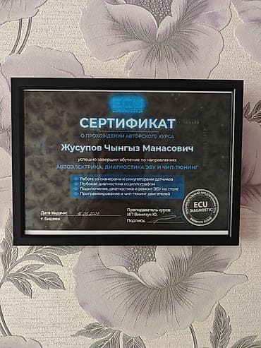 Услуги автоэлектрика, диагностика ЭБУ и чип-тюнинг Предлагаются at lalafo.kg Услуги автоэлектрика, диагностика ЭБУ и чип-тюнинг Предлагаются