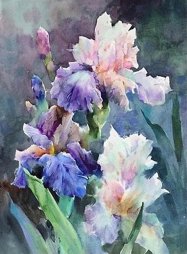 питомник растений: Продаю декоративные растения НЕДОРОГО . Почаопокровные — 3