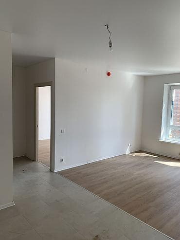 колор: Шпаклевка стен, Шпаклевка потолков 3-5 лет опыта — 3