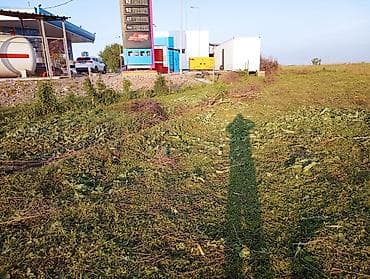 обработка: Уборка территории, Уборка снега, Уборка двора и сада, Мойка фасада — 7