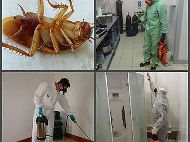 Дезинфекция, дезинсекция, | Клопы, Блохи, Тараканы, | Транспорт, Офисы, Квартиры