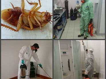 ваты: Дезинфекция, дезинсекция, | Клопы, Тараканы, Блохи, | Кафе, магазины, Дома, Квартиры — 2