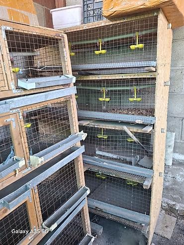 мингич ат: Клетка для бройлеров, перепелки и также для кур состояния отличное — 4