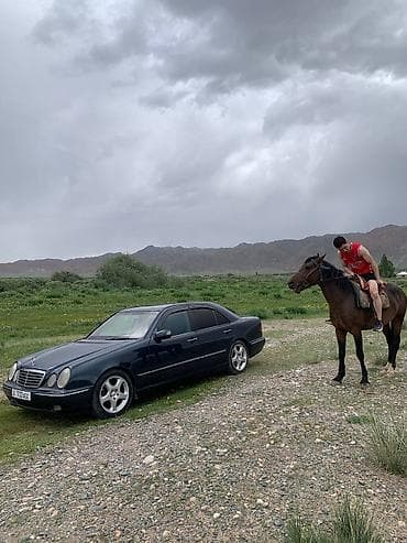 g wagon: Mercedes-Benz E-Class: 2000 г., 3.2 л, Бензин, Седан — 1