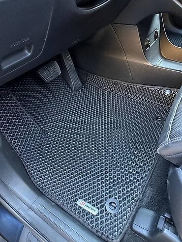 megane: Полики — 5