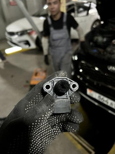 филдер: Профессиональное удаление и отключение: - DPF (сажевый фильтр) - — 5