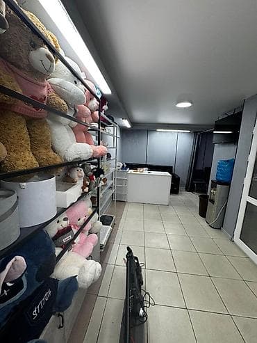 ветеринарный магазин: Продажа магазинов В бизнес-центре, 40 м², Свежий ремонт, Отдельный вход, Цокольный этаж этаж — 4