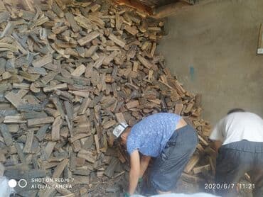 продать дрова оптом: Дрова — 4