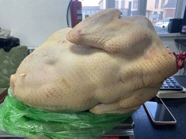 Кургаткычтар: Күрп :, 9 кг — 5