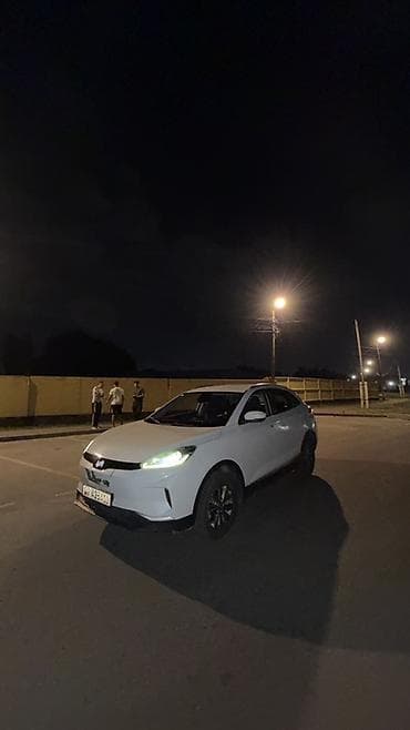 byd delphin: Weltmeister E5, 2021 г. — 2