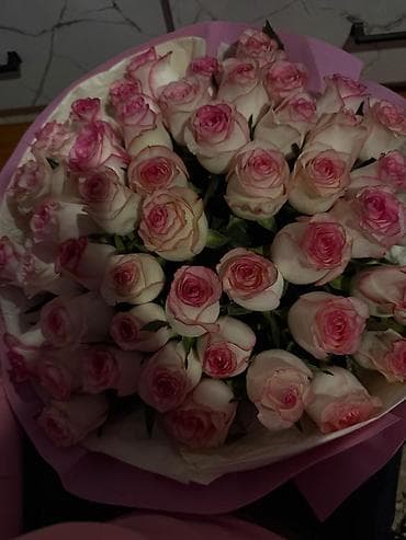 цветы 101 роза: Букет из розовых кремовых роз - Состав: крупные двухцветные розы с — 1