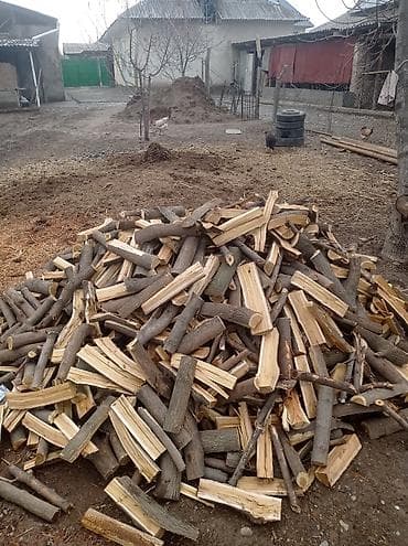 баскетбольная одежда: Дрова — 1