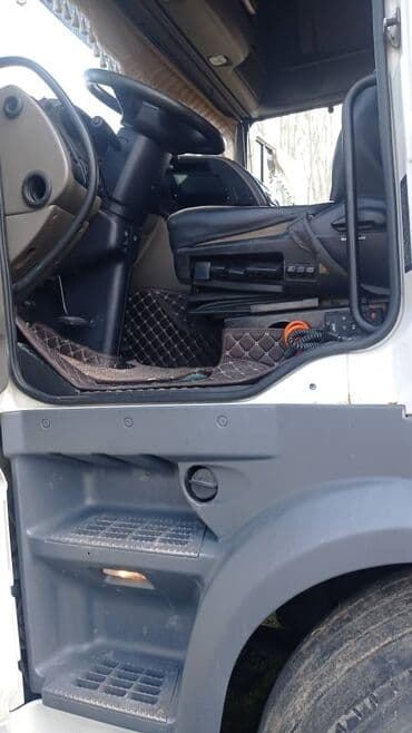 рейка на ипсум: Тягач, DAF, 2008 г., Тентованный — 3