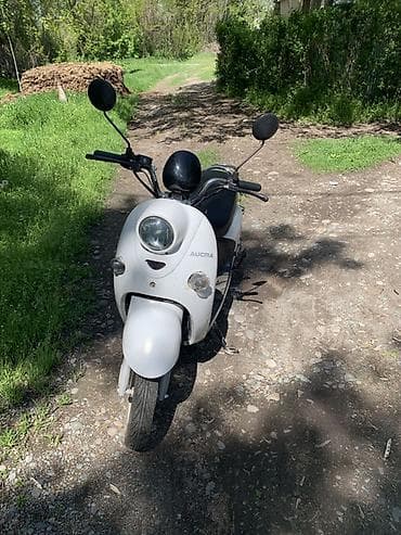 муравей руль: Электроскутер Eco Bike (бренд на борту), стиль ретро.Обмен на авто или — 1