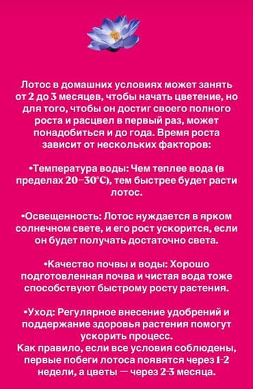 я твое средство для всего цена бишкек: Лотос
350с пачкада 45-50 урук болот
Бишкек — 3