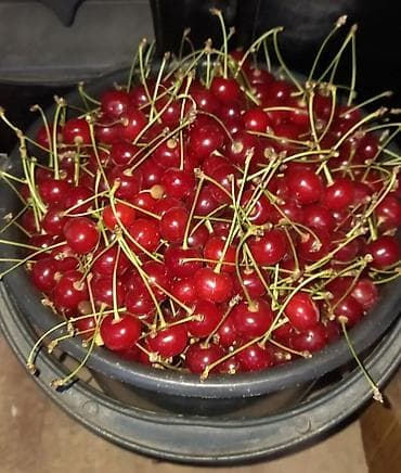 головной мясо: Вишня — 2