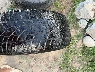 Шиналар 225 / 55 / R 17, Кыш, Колдонулган, Жеңил унаалар, Германия, Dunlop