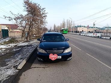 Toyota Camry: 2002 г., 2.4 л, Автомат, Газ, Седан