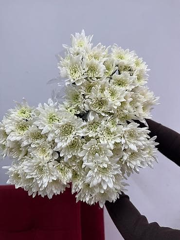 детские кровати для 2 детей: Продаю 1,5 спальную кровать б/у в хорошем состоянии . цена 2000 сом — 4