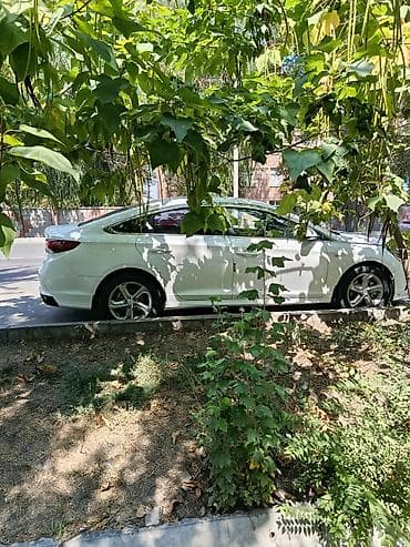 byd e1: Hyundai Sonata: 2021 г., 2 л, Автомат, Газ, Седан — 2
